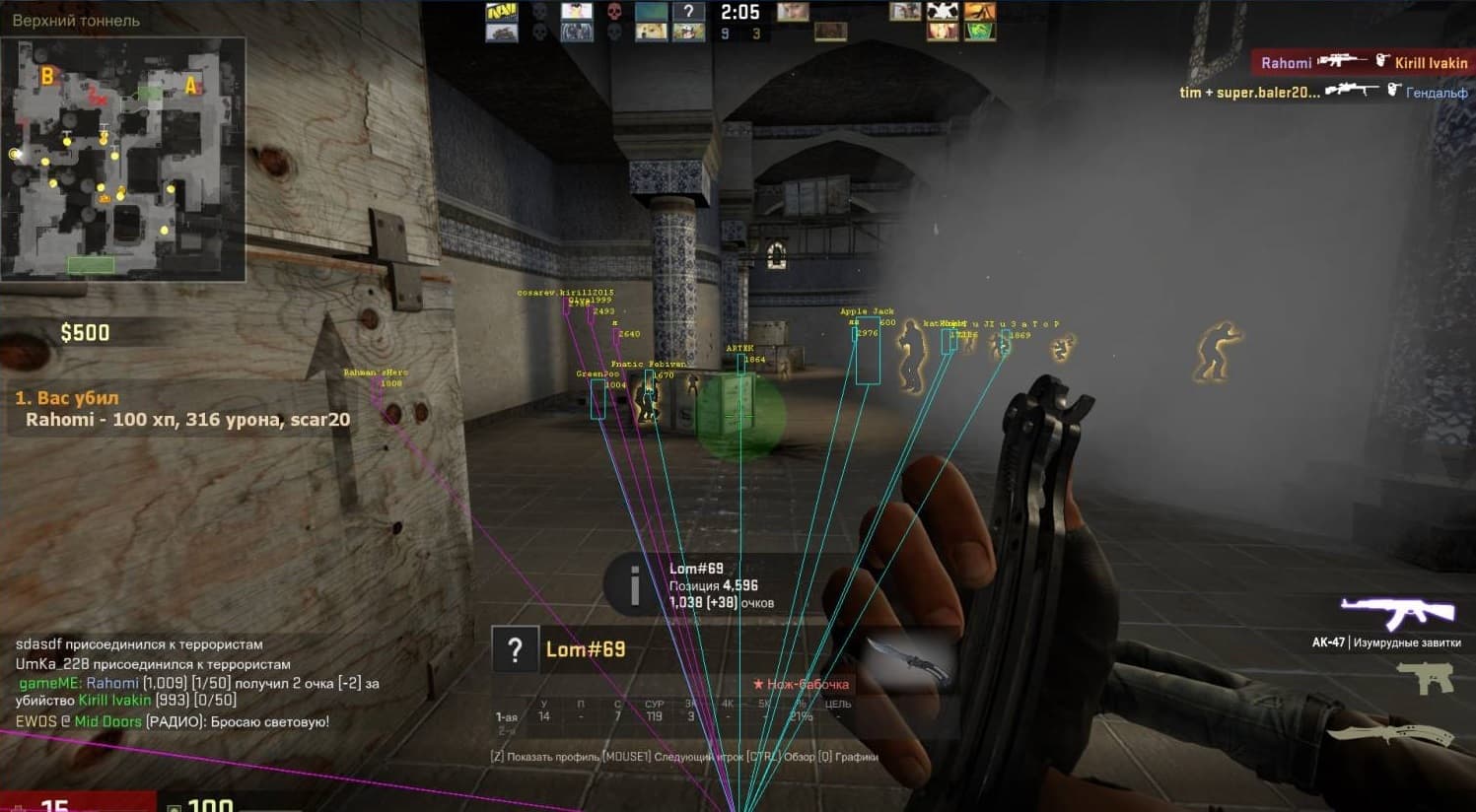 ESP/Wallhack